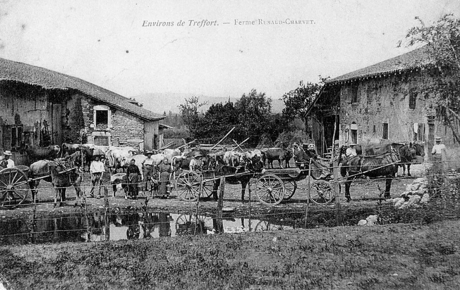 Ferme Renaud Charvet à Treffort