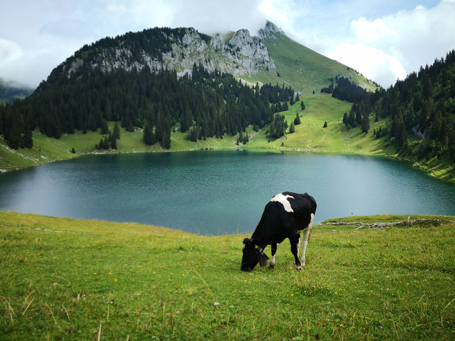 aussichtsberg shweizer alpen