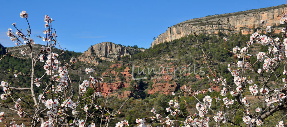 Katalonien, Spanien, Aragonien, Andalusien, Wandern, Touren, Mehrtagestouren, Wandern und Kultur,  deutschsprachige Guides, ursprünglich, authentisch, kleine Gruppen, nachhaltig, Pyrenäen, Zentralpyrenäen, Picos de Europa, Wandern Costa Brava, Wein und Wa