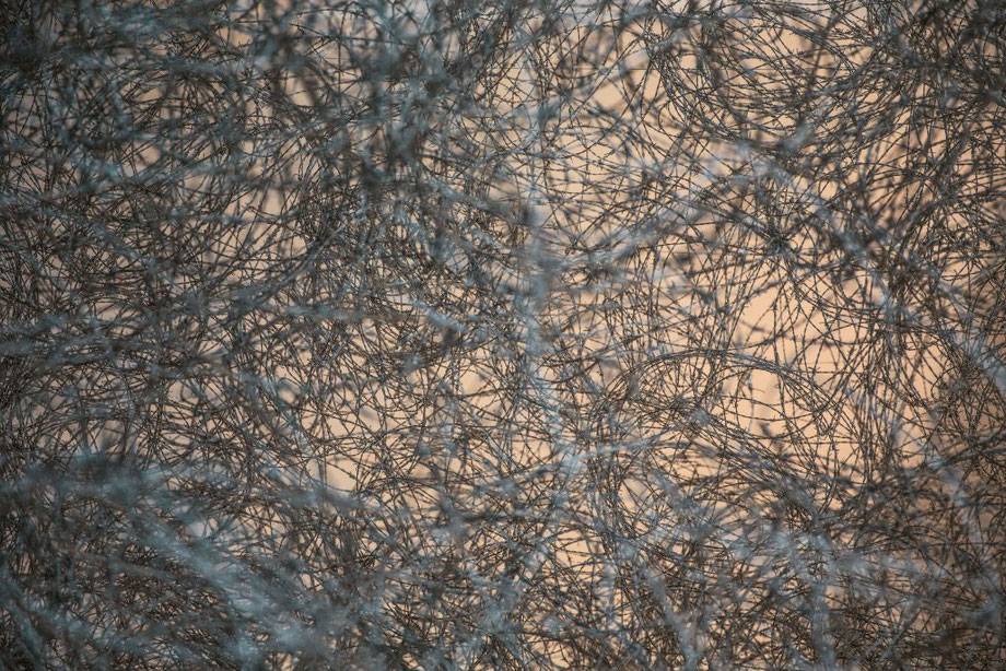 Detail of Qin Yufen: Making Paradise, 1996 – 2002
