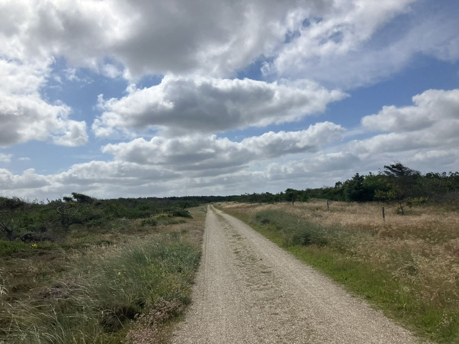 Gravelstraße durch Dünenlandschaft an der dänischen Nordseeküste – typische Bikepacking-Route in Dänemark mit weitem Himmel und Küstenvegetation.