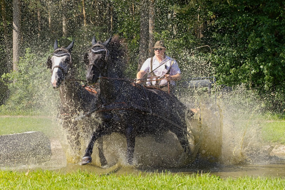 Andreas Wedel Pferdefotografie - Kutschenfahrt 