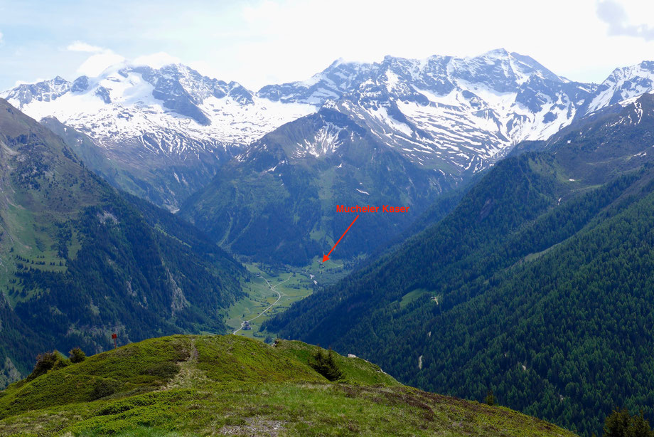 Blick vom Padauner Kogel auf Olperer, Fußstein und Schrammacher mit der Mucheler Kaser im Vordergrund.