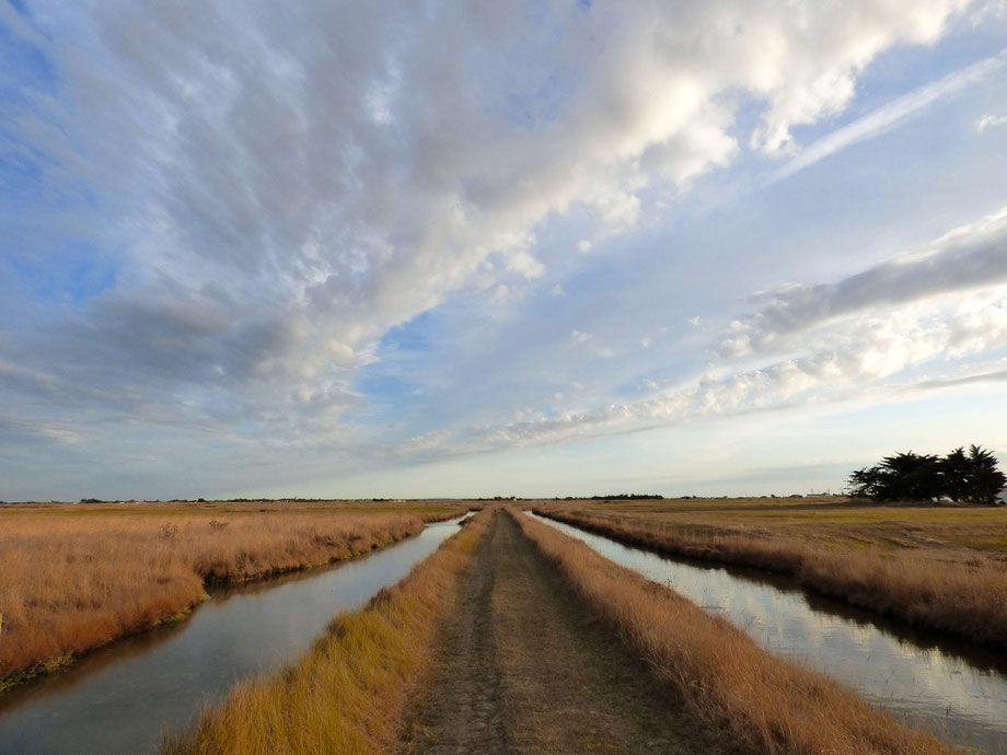 Marais, Vendée, France