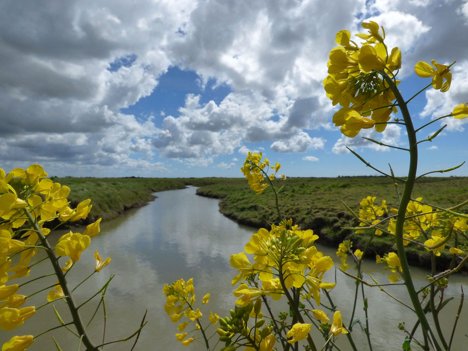 Vendée, France