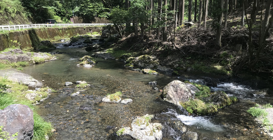 梅田町桐生川上流の清流