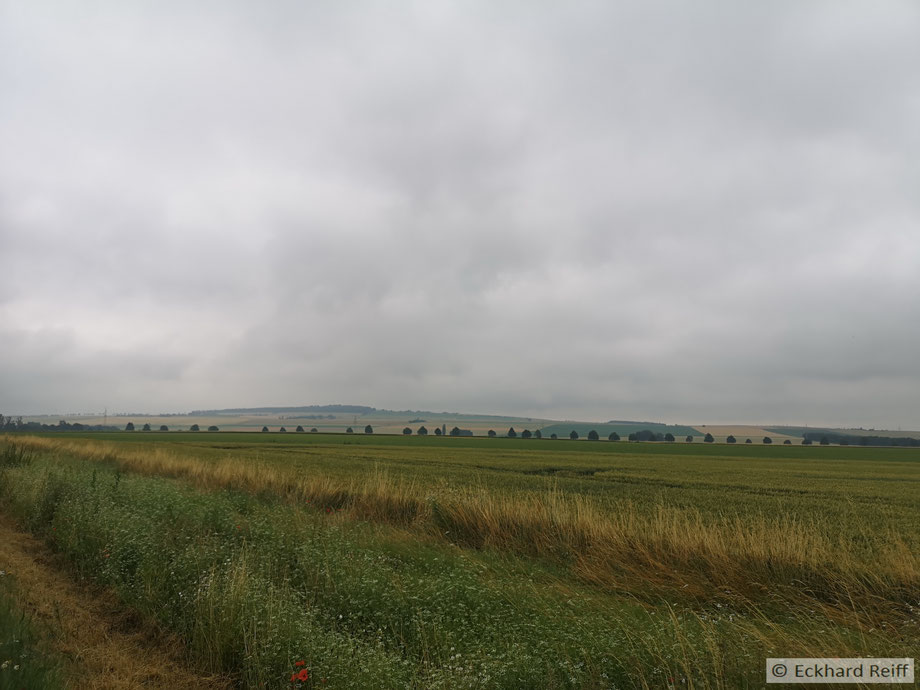kurz vor Halberstadt - das gute an dem Wetter ist, man sieht die dämlichen Windmühlen nicht, die hier die Landschaft verschandeln