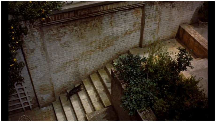 cinephiliac moment: Rear Window (Alfred Hitchcock, USA 1954), Johannes Binotto