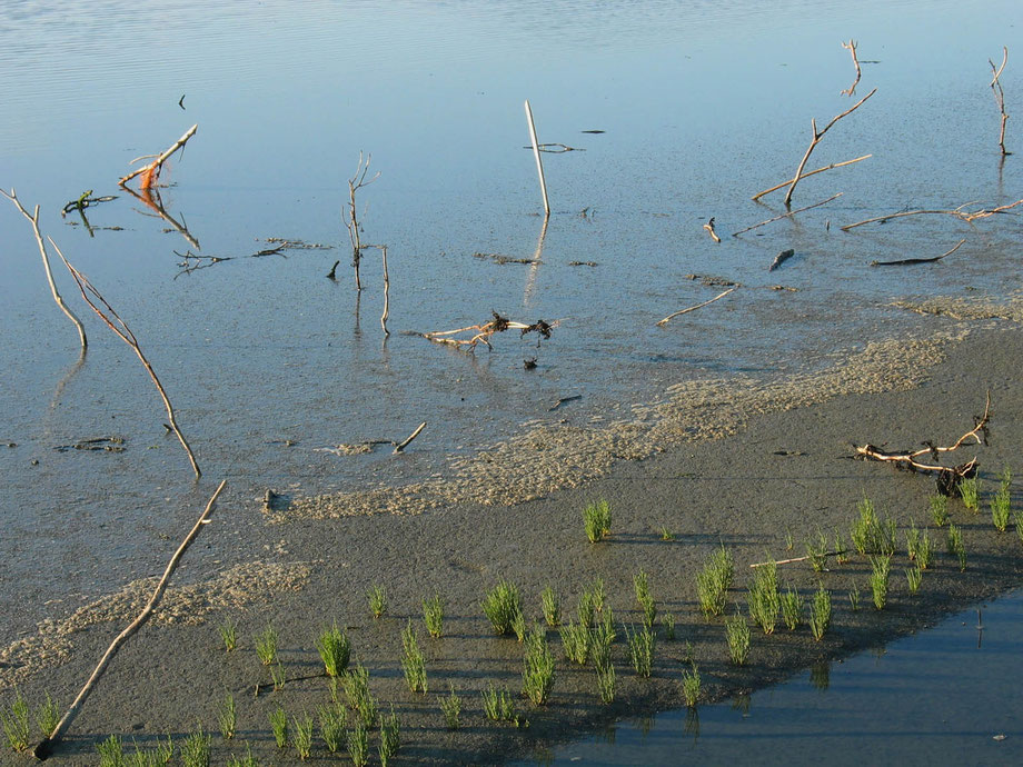 Norddeich 2004