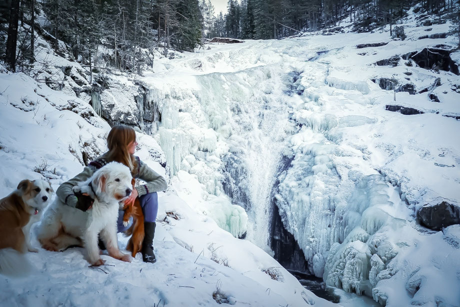Frau und Hunde an gefrorenem Wasserfall
