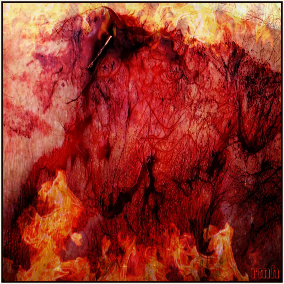 fire & blood