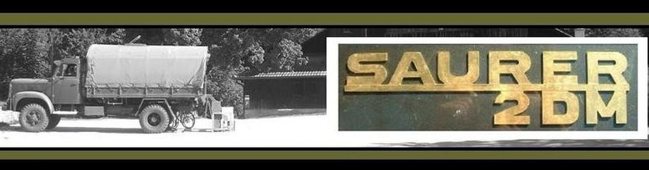 saurer-du-de-emm Webseite!