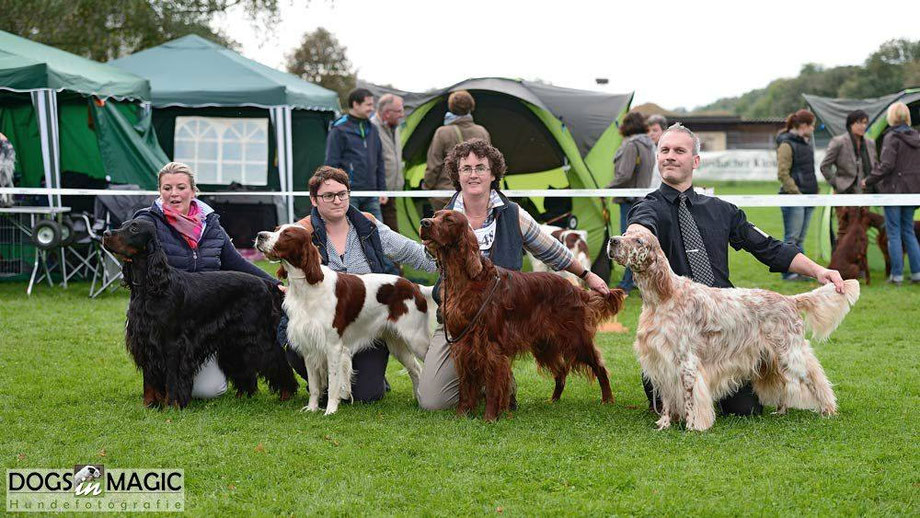 2016 Forst CAC - Verein Pointer und Setter, Baden-Württemberg