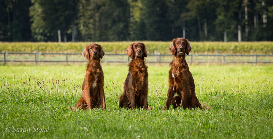 Die Familie im Herbst 2019