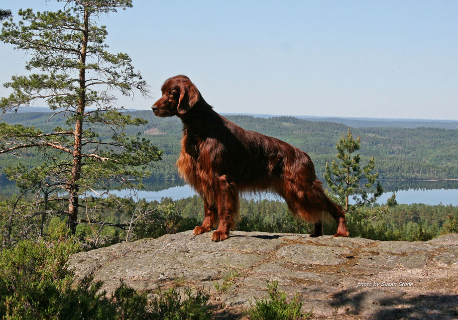 Glen in Schweden