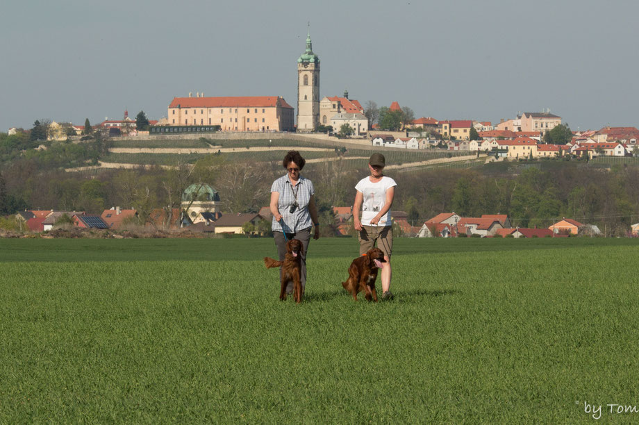 Rasmus und Eikki (mit Susan & Julie) nach einer Paarsuche auf den Feldern Tschechiens, April 2019. 