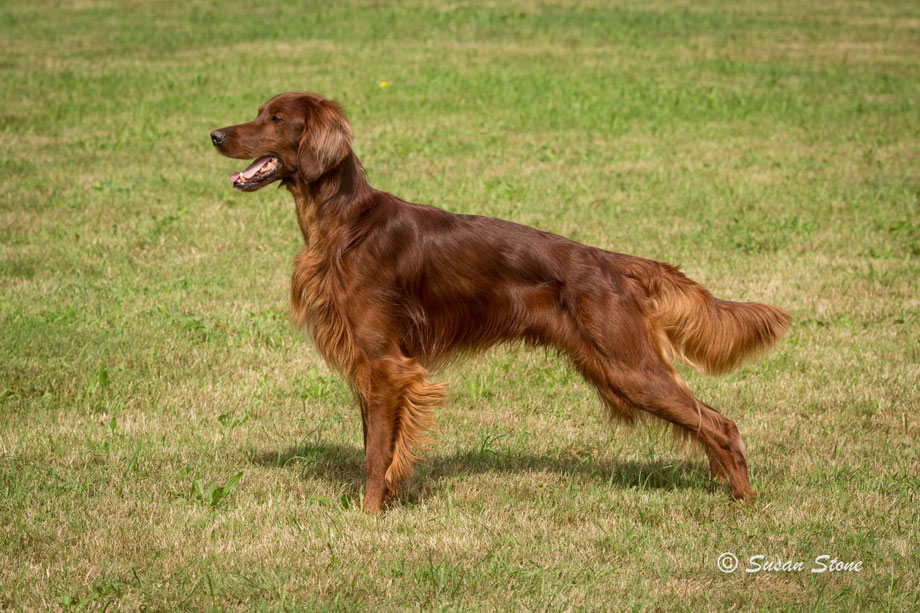 Rasmus, 2 Jahre 9 Monate