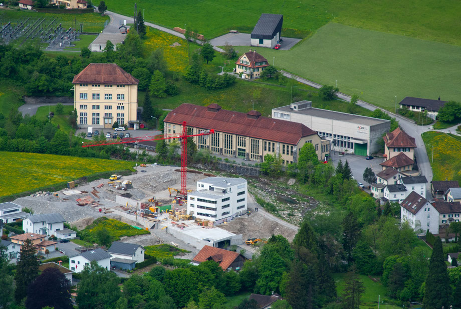 erster Weidblock im Bau, 2013