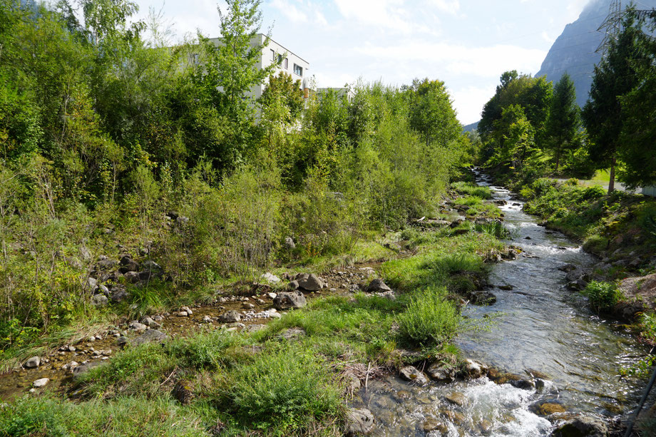 Löntsch vom Löntschwerk bachaufwärts. Aufnahme 16.09.025