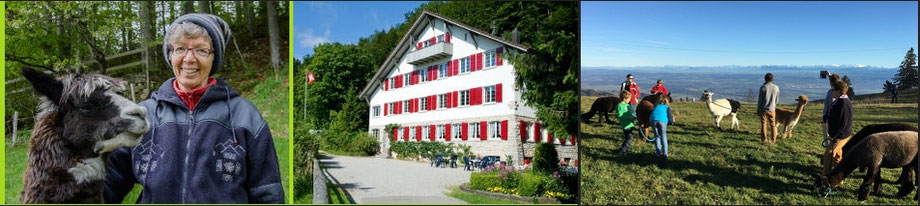 Wanderausflug Jura: Bild Frau mit Alpaka, Gruppenhaus Lagerhaus auf dem Balmberg im Jura und eine Gruppe mit Alpakas