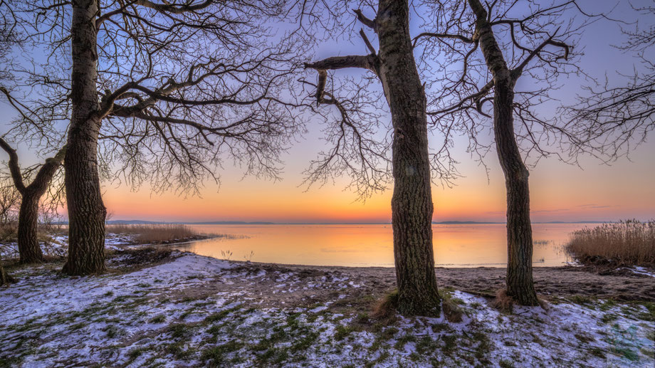Neuhof im Winter
