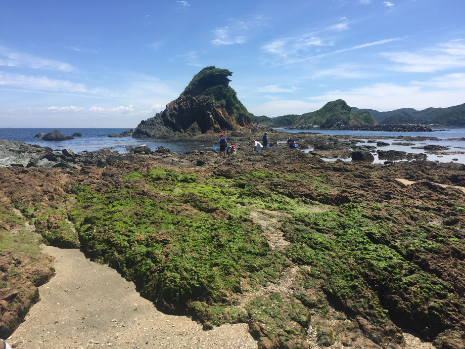 浮島の磯