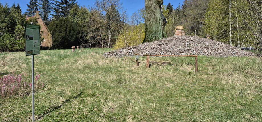 Fertiges Hügelgrab mit großer Eiche in ca. 800 Jahren, Mega-Biotop für Echsen und Insekten