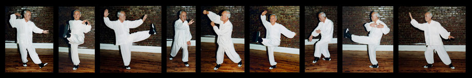 SIFU SHUM WU STYLE TAI CHI POSTURES