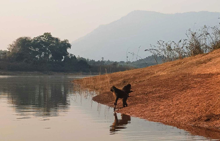 Nam Ngum Reservoir