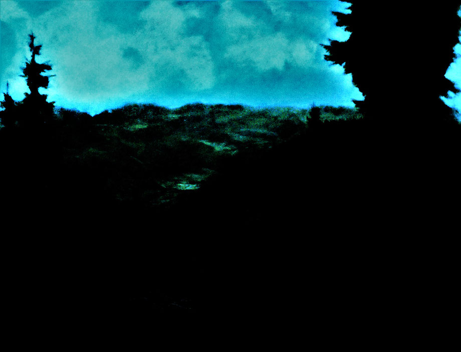 Waldstück, Öl auf Leinwand, 60x80, 2011