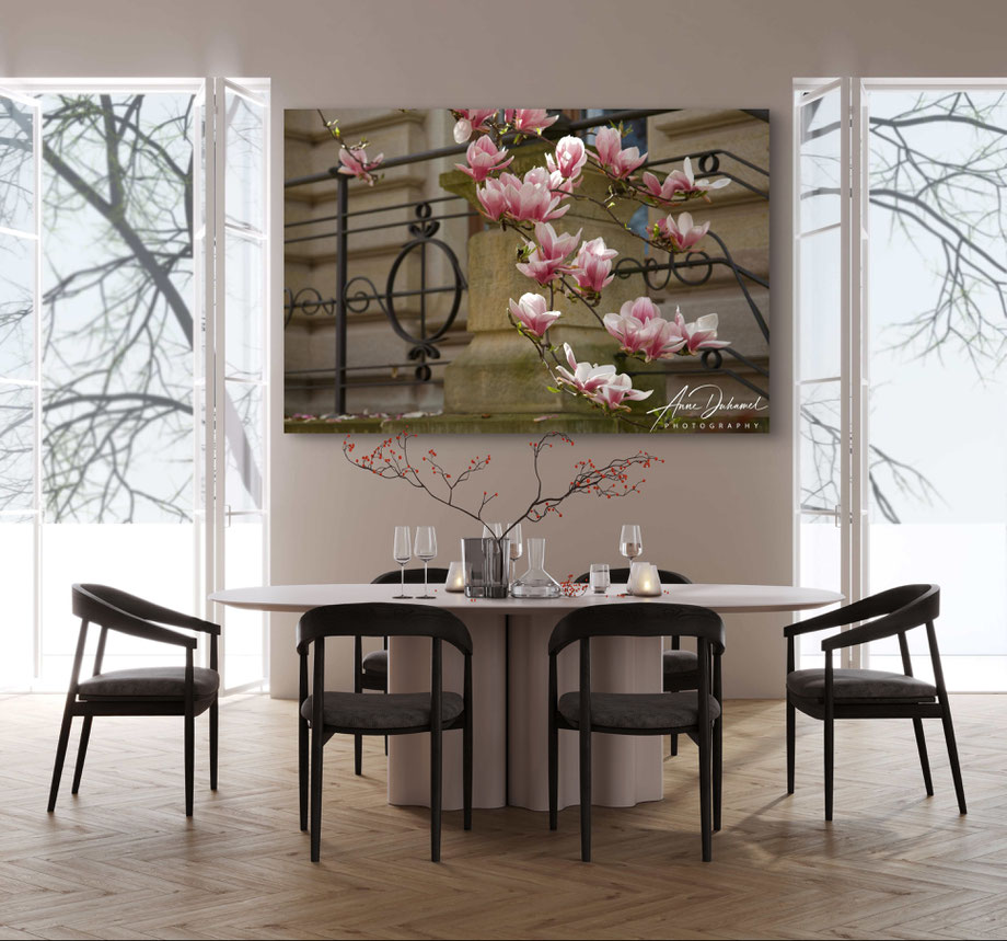 ANNE DUHAMEL PHOTOGRAPHY 