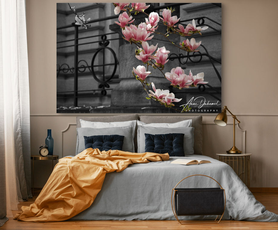 ANNE DUHAMEL PHOTOGRAPHY 