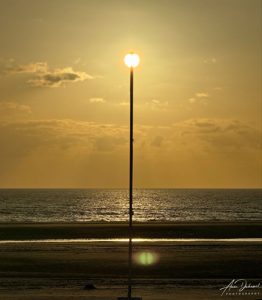ANNE DUHAMEL PHOTOGRAPHY 