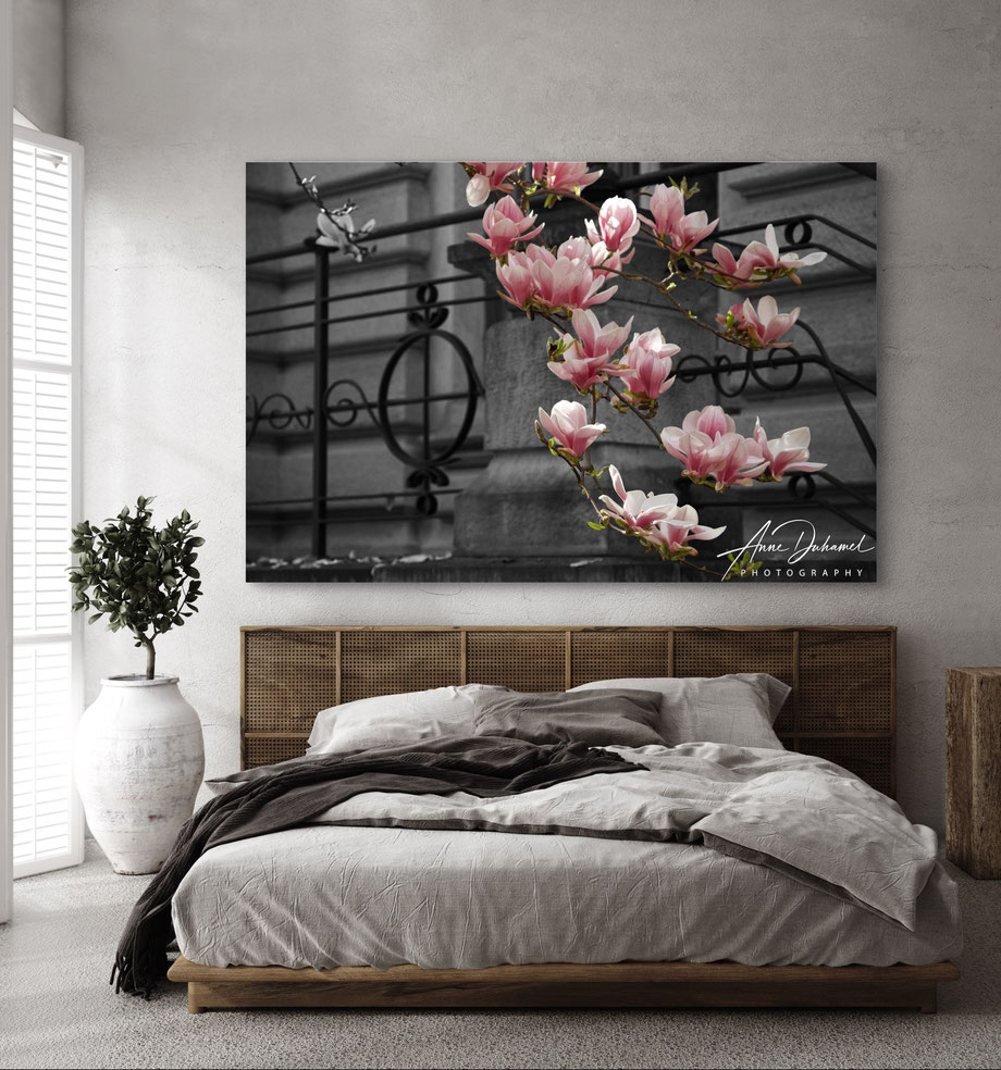 ANNE DUHAMEL PHOTOGRAPHY 
