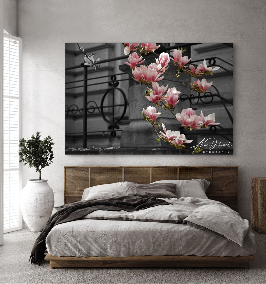ANNE DUHAMEL PHOTOGRAPHY 