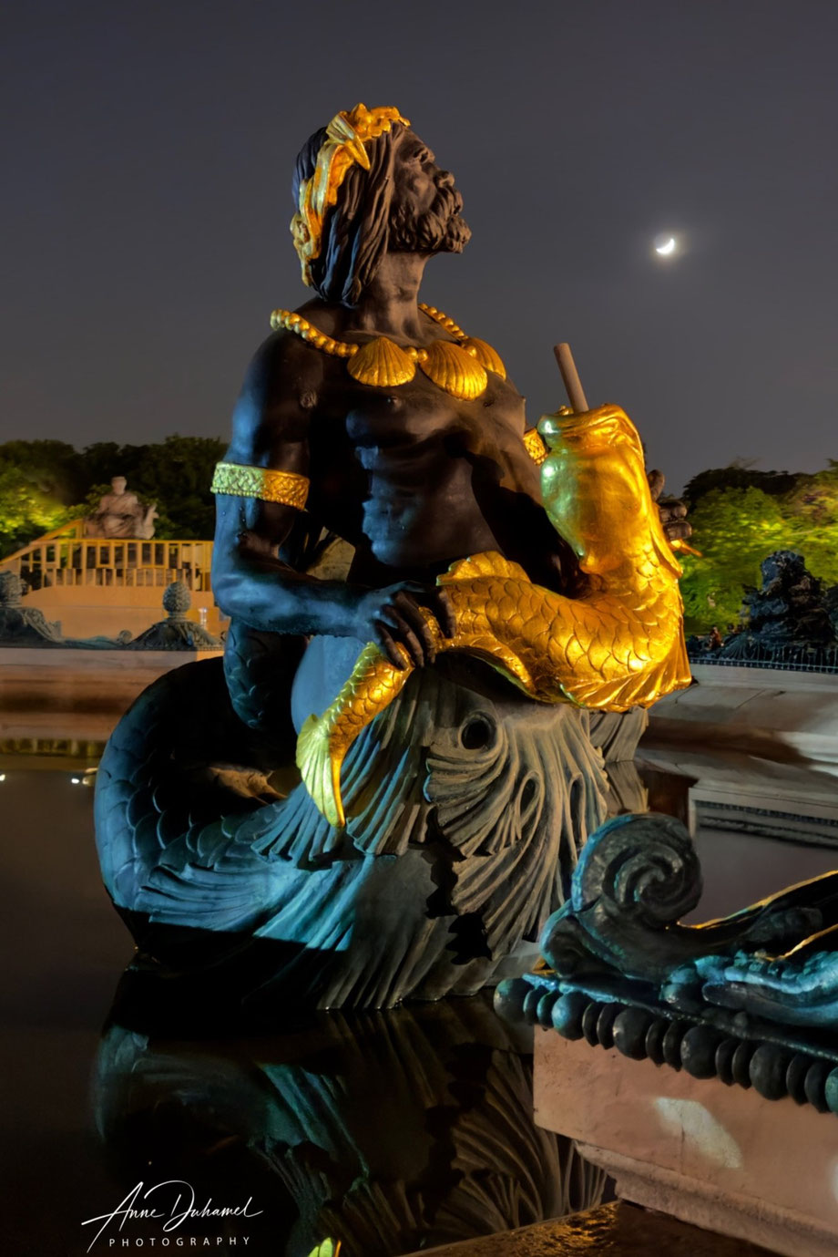 ANNE DUHAMEL PHOTOGRAPHY 