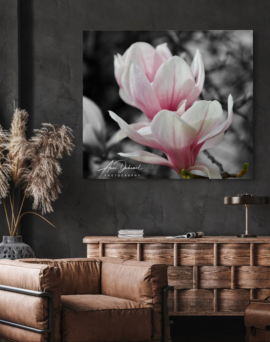 ANNE DUHAMEL PHOTOGRAPHY 