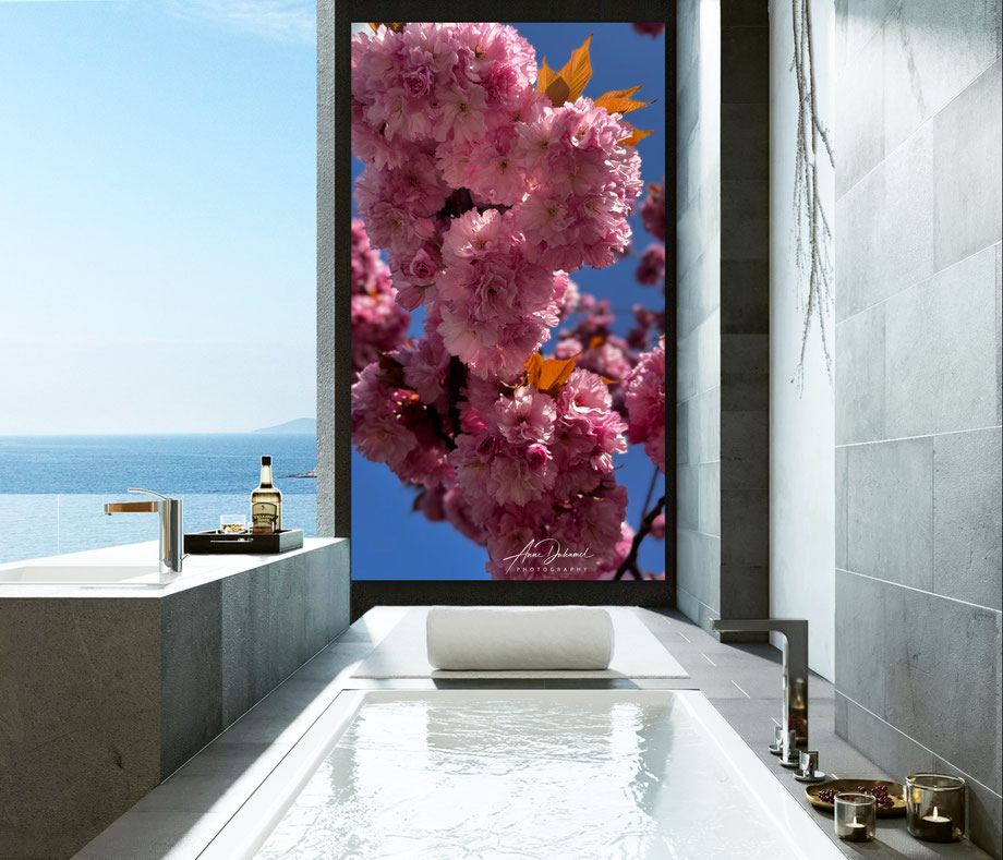 ANNE DUHAMEL PHOTOGRAPHY 