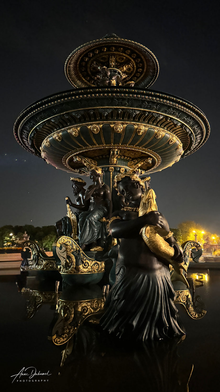 ANNE DUHAMEL PHOTOGRAPHY 