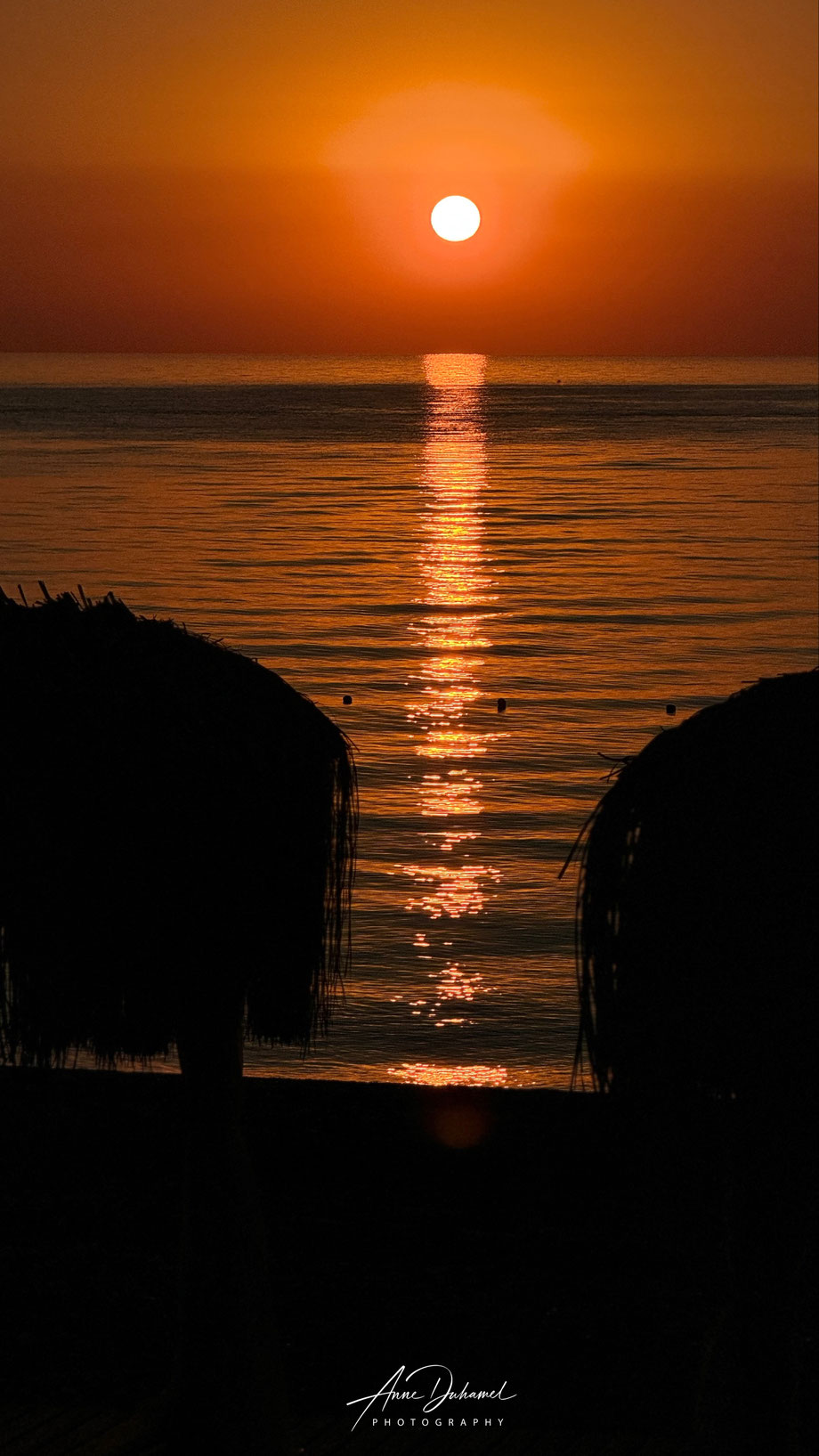 ANNE DUHAMEL PHOTOGRAPHY 