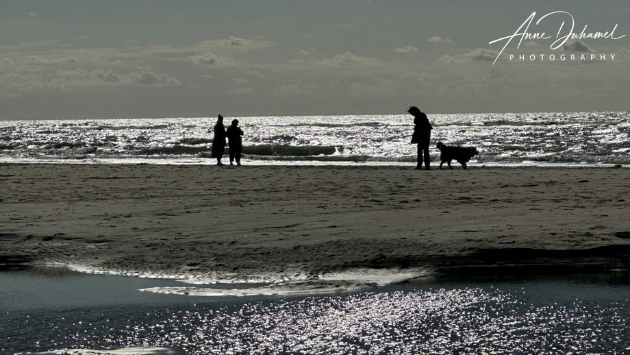 ANNE DUHAMEL PHOTOGRAPHY 