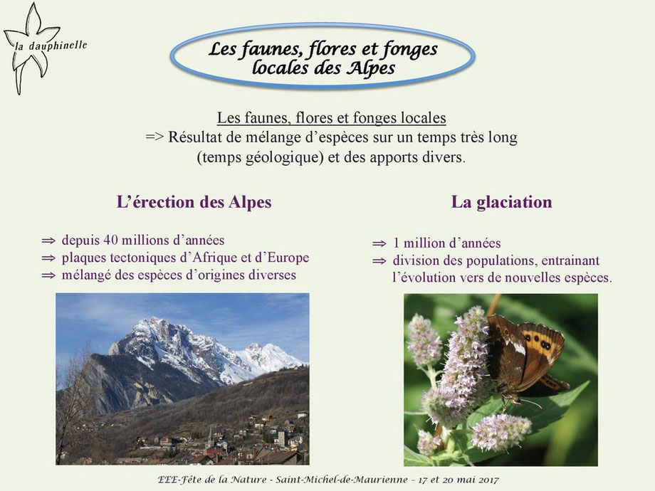 L’origine des espèces exotiques envahissantes, La Dauphinelle faunes et flores des alpes