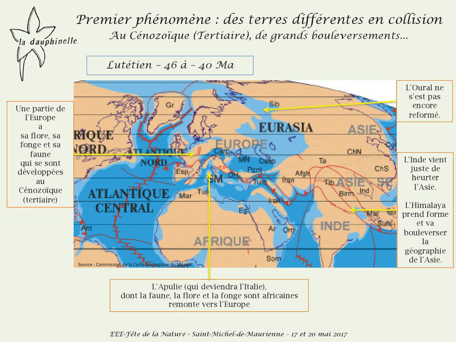 L’origine des espèces exotiques envahissantes, La Dauphinelle collision des continents