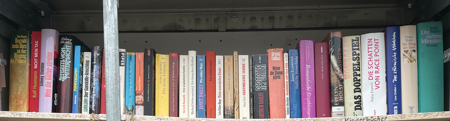 Bücherschrank innen, Bücher oberste Reihe