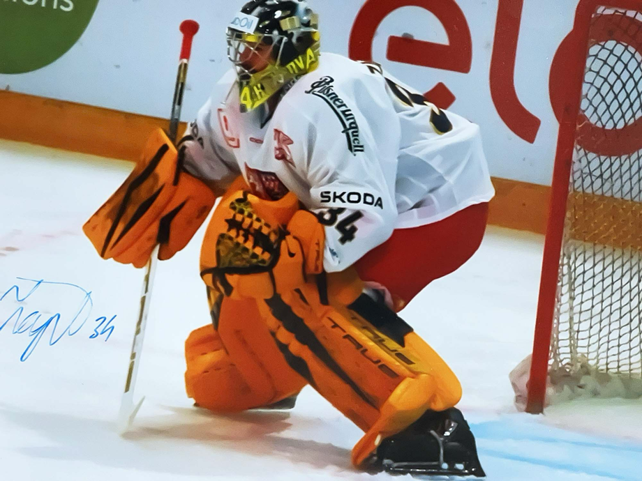 Simon Zajicek, Autograph autogramm