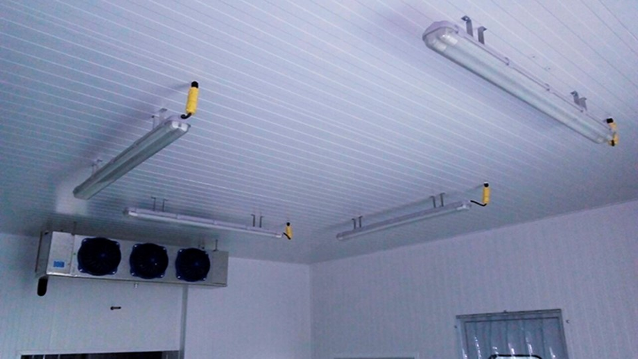 Cámaras de Refrigeración: Innovación y Eficiencia para tu Negocio