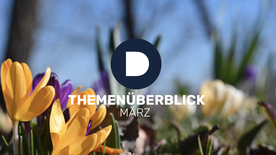 Bild mit Frühblühern