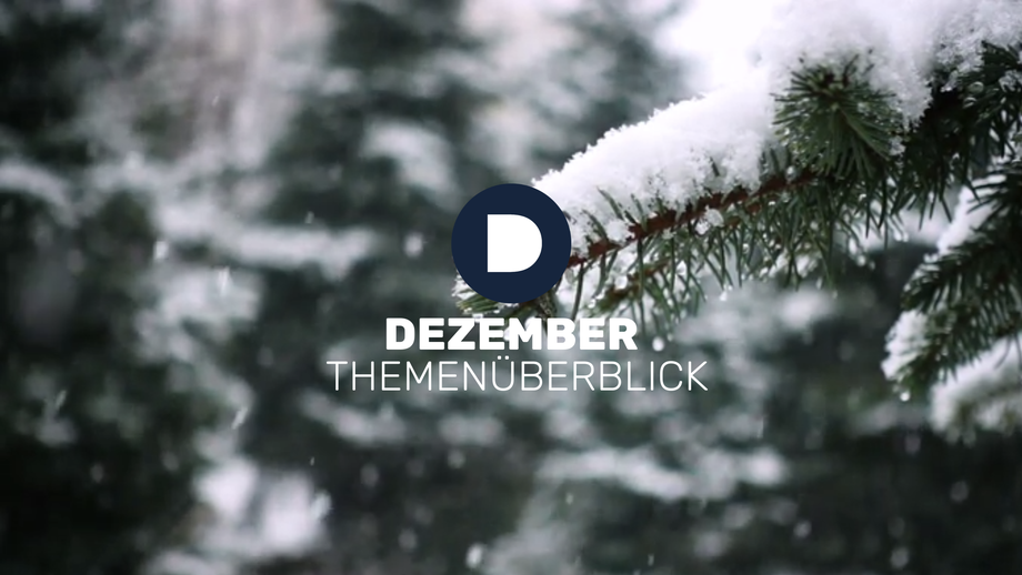 Demuth Arbeitsrecht Potdam Logo in schneereicher Landschaft