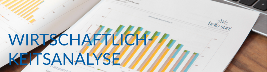 Wirtschaftlichkeitsanalyse