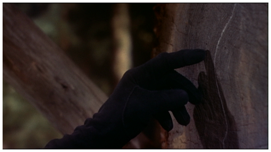 cinephiliac moment: Vertigo (Alfred Hitchcock, USA 1958), Rashna Wadia Richards